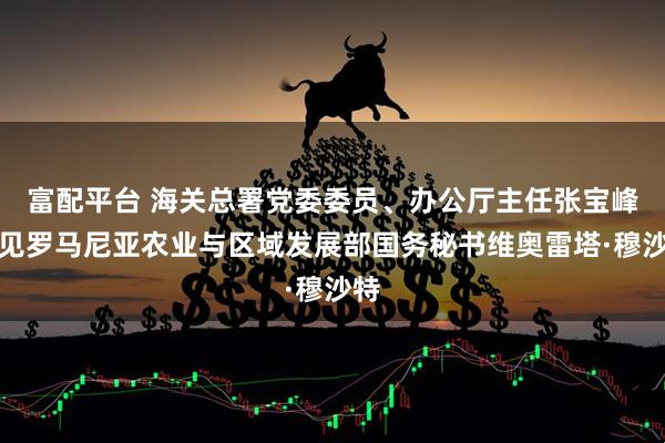 富配平台 海关总署党委委员、办公厅主任张宝峰会见罗马尼亚农业与区域发展部国务秘书维奥雷塔·穆沙特