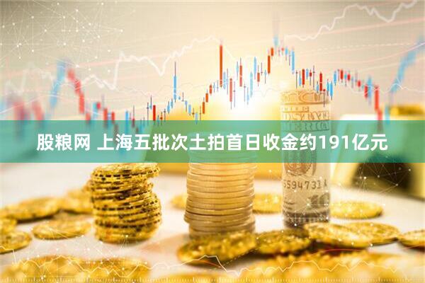 股粮网 上海五批次土拍首日收金约191亿元