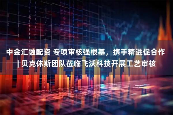 中金汇融配资 专项审核强根基，携手精进促合作 | 贝克休斯团队莅临飞沃科技开展工艺审核