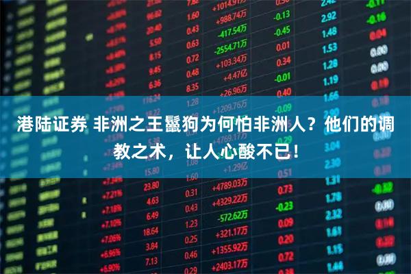 港陆证券 非洲之王鬣狗为何怕非洲人？他们的调教之术，让人心酸不已！