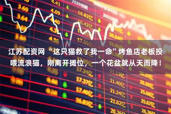 江苏配资网 “这只猫救了我一命”烤鱼店老板投喂流浪猫，刚离开摊位，一个花盆就从天而降！