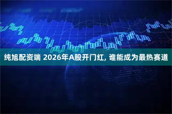 纯旭配资端 2026年A股开门红, 谁能成为最热赛道