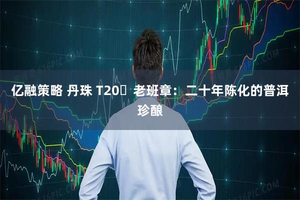 亿融策略 丹珠 T20・老班章：二十年陈化的普洱珍酿