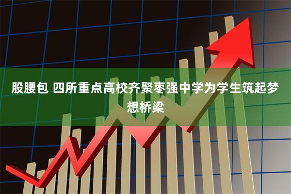 股腰包 四所重点高校齐聚枣强中学为学生筑起梦想桥梁