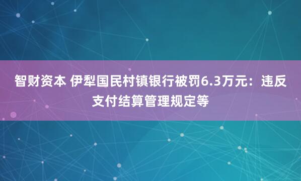 智财资本 伊犁国民村镇银行被罚6.3万元：违反支付结算管理规定等