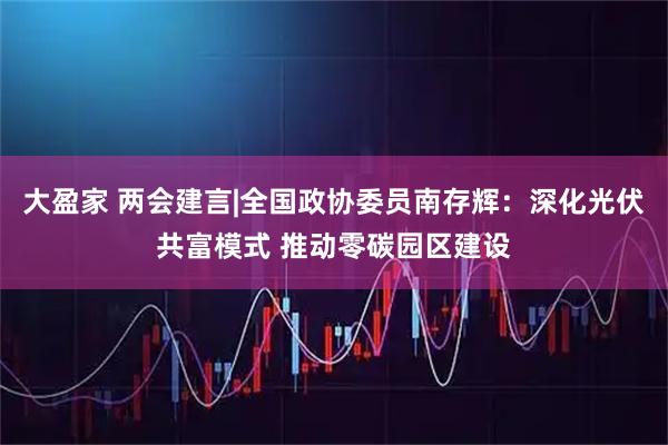 大盈家 两会建言|全国政协委员南存辉：深化光伏共富模式 推动零碳园区建设